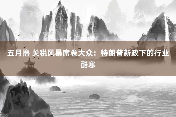五月撸 关税风暴席卷大众：特朗普新政下的行业酷寒