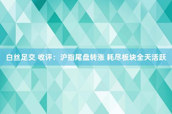 白丝足交 收评：沪指尾盘转涨 耗尽板块全天活跃