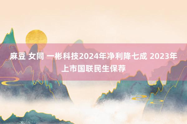 麻豆 女同 一彬科技2024年净利降七成 2023年上市国联民生保荐